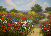 Sentiero di collina